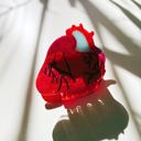 Anatomical Heart Hair Clip | Gothic Red Heart Shaped Claw Clip