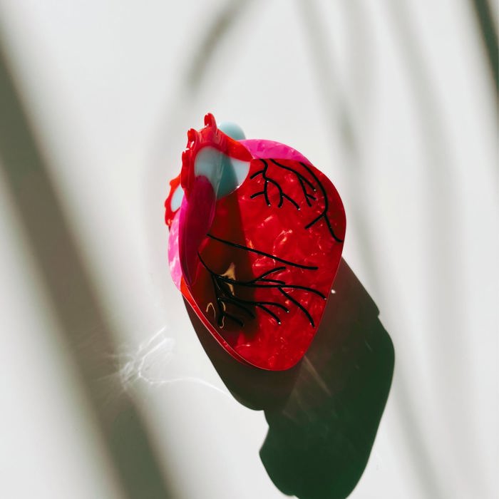 Anatomical Heart Hair Clip | Gothic Red Heart Shaped Claw Clip