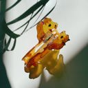  Golden Horse Hair Claw | Strong Claw Clip Hair Accessories
