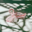  Coquette Bow in Pink Hair Claw
