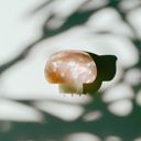  Mini Mushroom Hair Claw Clip in Pink