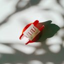 Mini Mushroom Hair Clip in Red