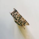  Mr. Golden Sun Hair Clip | Claw Clip Sunny Sunshine Hair Accessories