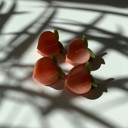  Set of 4 🍑🍑🍑🍑 Mini Peach Hair Clips