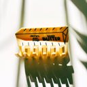  Stick of Salted Butter Hair Claw | Yellow Claw Clip Hair Accessories