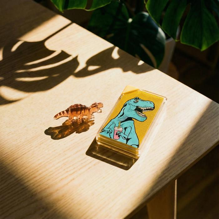 T-Rex Hair Claw and T-Rex Flask Style Pop Art Water Bottle Bundle