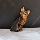 Ultra Realistic Brown Tabby Cat Jane Exclusive Hair Claws Stocking Stuffers - Giftable Styles You’ll Love