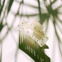 Polka Dot Black on White Jane Exclusive Hair Claws Stocking Stuffers - Giftable Styles You’ll Love