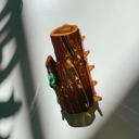  Wood Log Hair Clip Hair Claw
