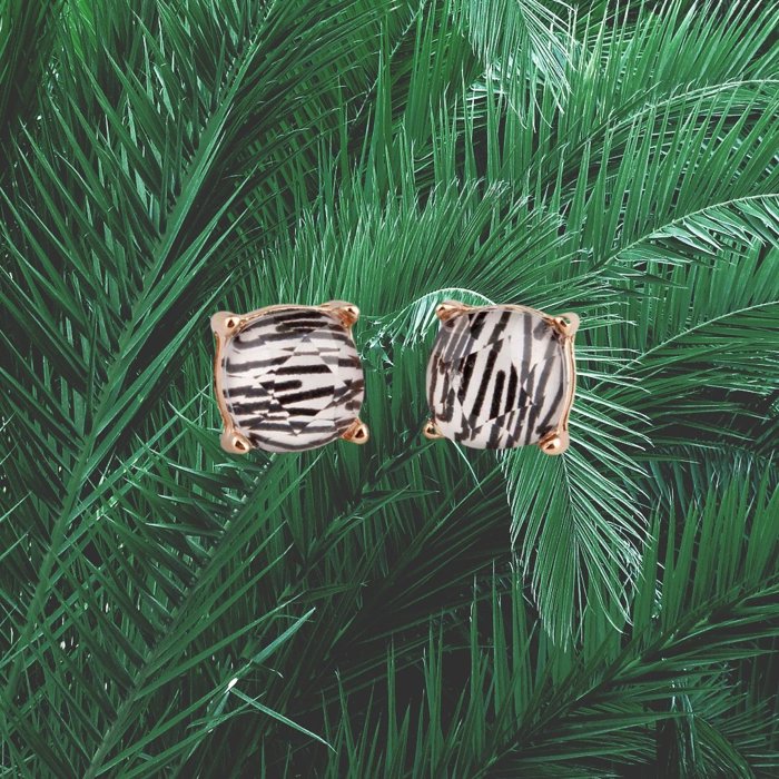 Zebra Stripes Square Stud Earrings | Black and White Bold Animal Print Jewelry