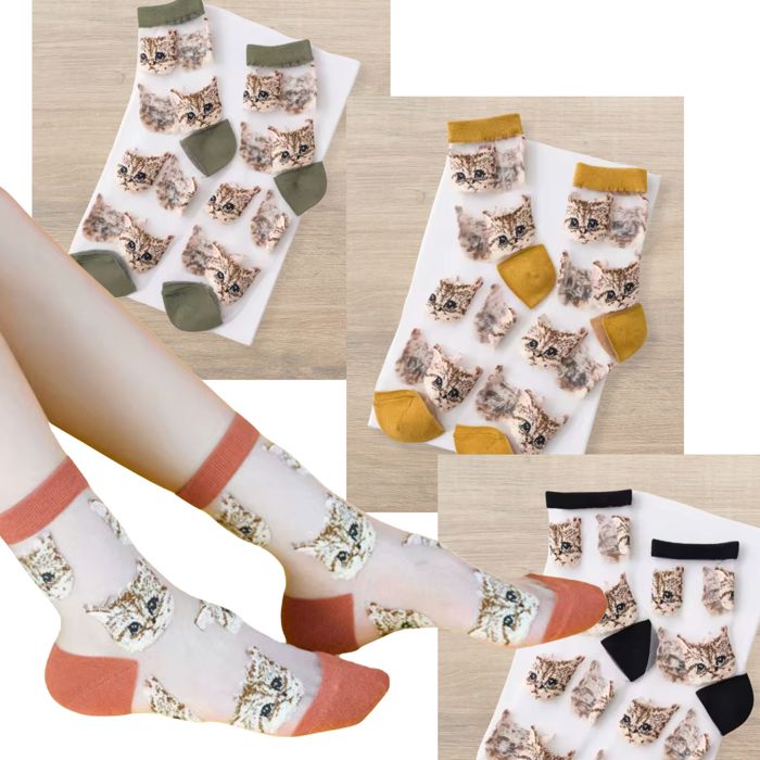 Sheer Cat Lover Socks Available in Yellow Green Red or Black [Fits Women's Size 5-9]