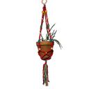  Boho Macrame Plant Hanger Flowerpot | Plant Lady Plant Lover Gifts Botanical Nature Lover
