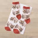 Red Sheer Cat Lover Socks Available in Yellow Green Red or Black [Fits Women's Size 5-9]