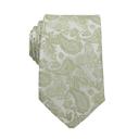 31-Sage Paisley Personalized Picture Ties for Men