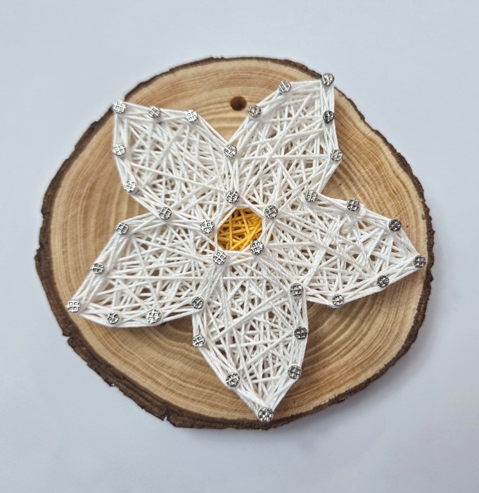 DIY String Art kits, Honey Bee, Strawberry, Flower and Sun