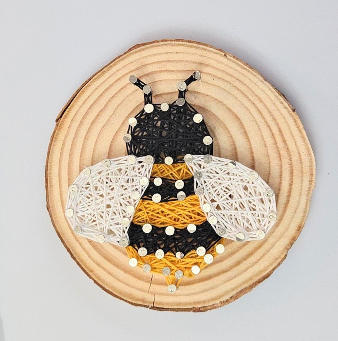 DIY String Art kits, Honey Bee, Strawberry, Flower and Sun