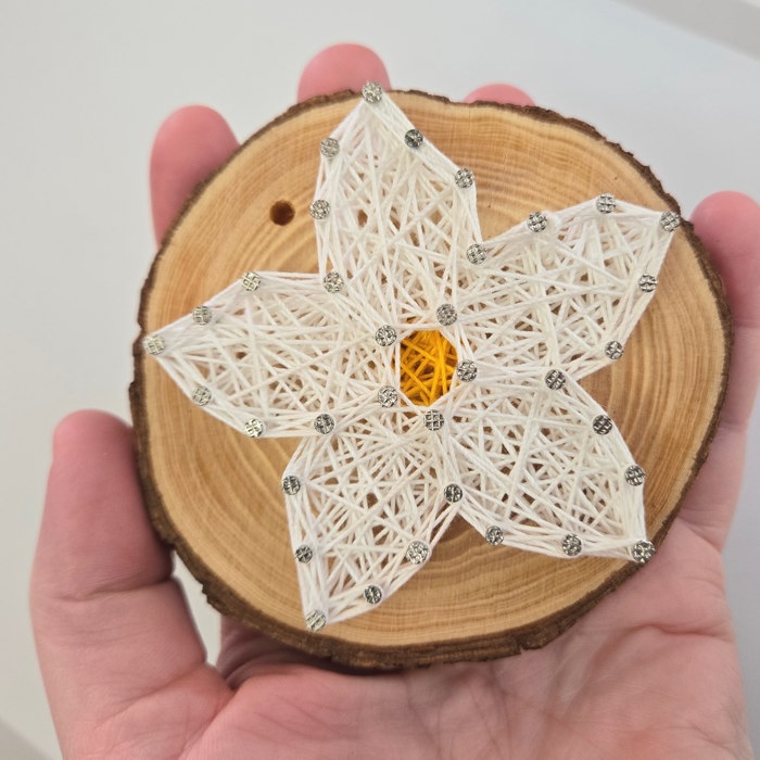 DIY String Art kits, Honey Bee, Strawberry, Flower and Sun