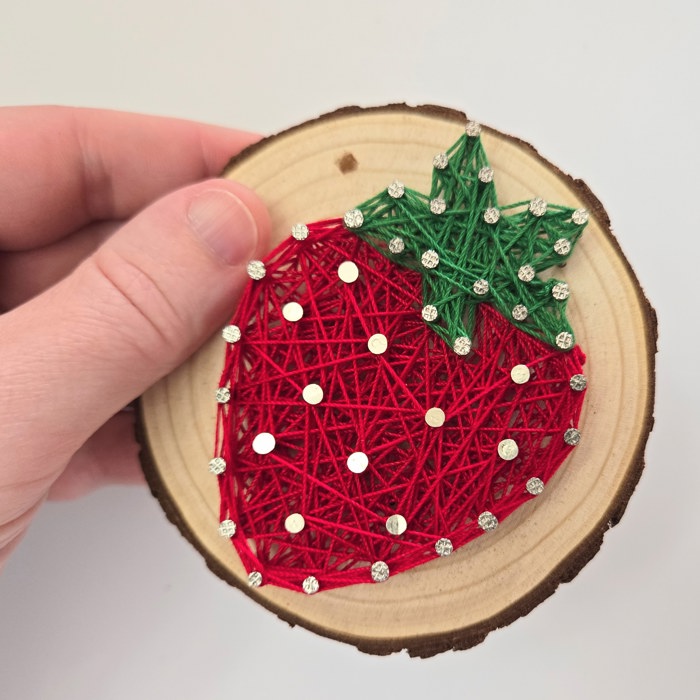 DIY String Art kits, Honey Bee, Strawberry, Flower and Sun