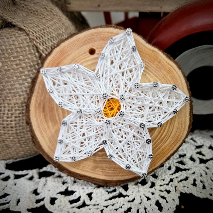 DIY String Art kits, Honey Bee, Strawberry, Flower and Sun