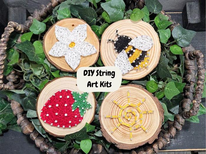 DIY String Art kits, Honey Bee, Strawberry, Flower and Sun