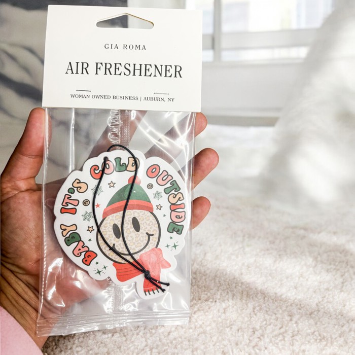 Funny Christmas Gifts Cheap | Hanging Air Fresheners | Unique Stocking Stuffers for Teens and Adults