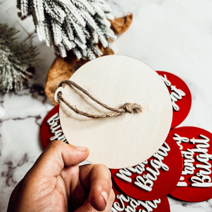 Funny Christmas Gifts for Cheap, Deck the Halls and Not Your Family, Holiday Humor, Funny Christmas Ornaments Handmade, Colorful Christmas Decorations