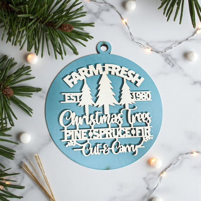 Funny Christmas Gifts for Cheap, Deck the Halls and Not Your Family, Holiday Humor, Funny Christmas Ornaments Handmade, Colorful Christmas Decorations