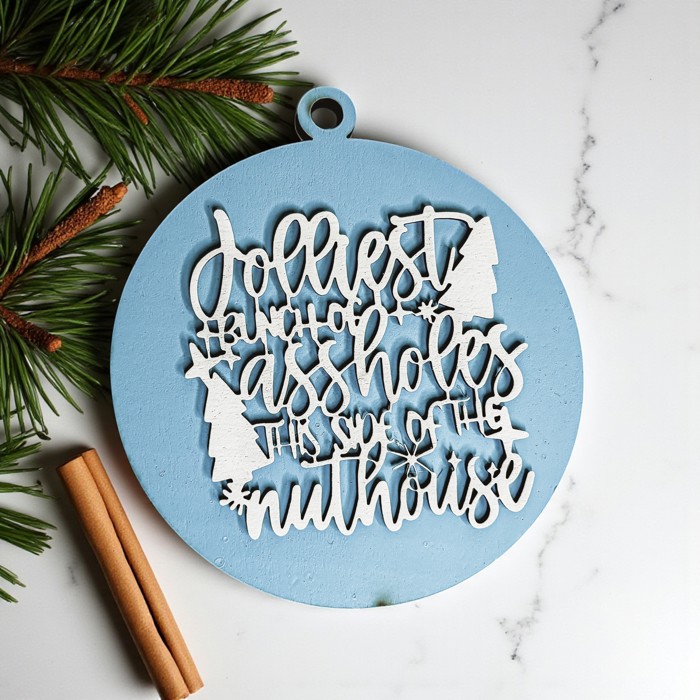 Funny Christmas Gifts for Cheap, Deck the Halls and Not Your Family, Holiday Humor, Funny Christmas Ornaments Handmade, Colorful Christmas Decorations