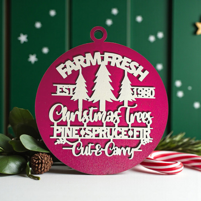Funny Christmas Gifts for Cheap, Deck the Halls and Not Your Family, Holiday Humor, Funny Christmas Ornaments Handmade, Colorful Christmas Decorations