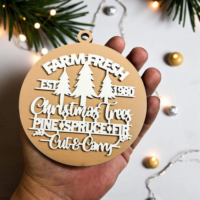 Funny Christmas Gifts for Cheap, Deck the Halls and Not Your Family, Holiday Humor, Funny Christmas Ornaments Handmade, Colorful Christmas Decorations
