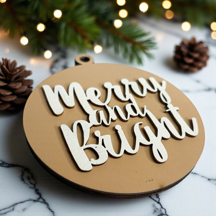 Funny Christmas Gifts for Cheap, Deck the Halls and Not Your Family, Holiday Humor, Funny Christmas Ornaments Handmade, Colorful Christmas Decorations
