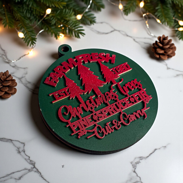 Funny Christmas Gifts for Cheap, Deck the Halls and Not Your Family, Holiday Humor, Funny Christmas Ornaments Handmade, Colorful Christmas Decorations