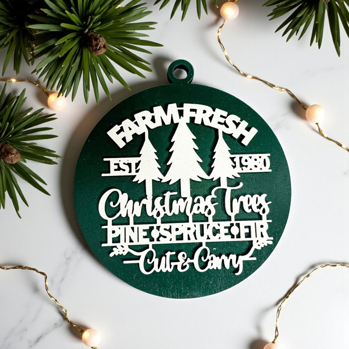 Funny Christmas Gifts for Cheap, Deck the Halls and Not Your Family, Holiday Humor, Funny Christmas Ornaments Handmade, Colorful Christmas Decorations