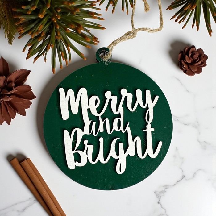 Funny Christmas Gifts for Cheap, Deck the Halls and Not Your Family, Holiday Humor, Funny Christmas Ornaments Handmade, Colorful Christmas Decorations