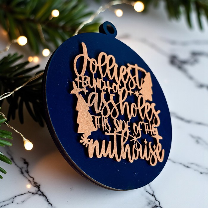 Funny Christmas Gifts for Cheap, Deck the Halls and Not Your Family, Holiday Humor, Funny Christmas Ornaments Handmade, Colorful Christmas Decorations