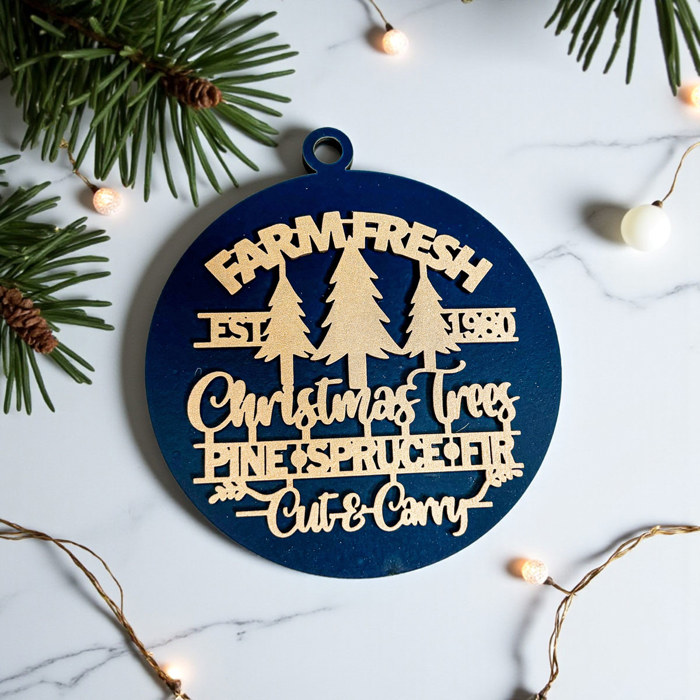 Funny Christmas Gifts for Cheap, Deck the Halls and Not Your Family, Holiday Humor, Funny Christmas Ornaments Handmade, Colorful Christmas Decorations