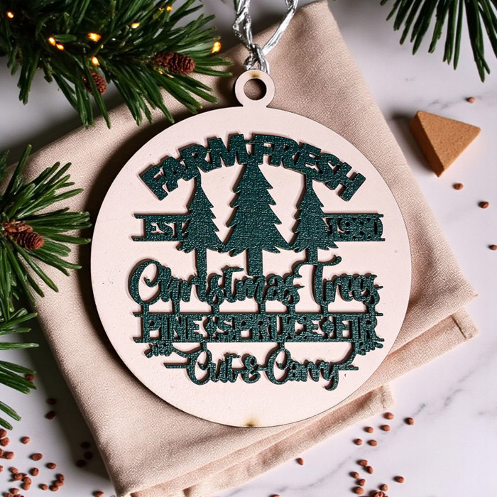 Funny Christmas Gifts for Cheap, Deck the Halls and Not Your Family, Holiday Humor, Funny Christmas Ornaments Handmade, Colorful Christmas Decorations