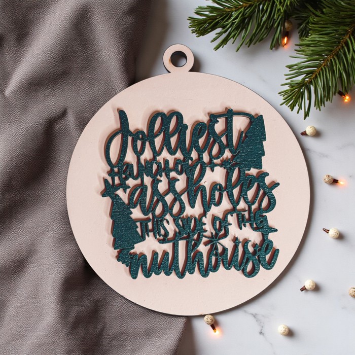 Funny Christmas Gifts for Cheap, Deck the Halls and Not Your Family, Holiday Humor, Funny Christmas Ornaments Handmade, Colorful Christmas Decorations