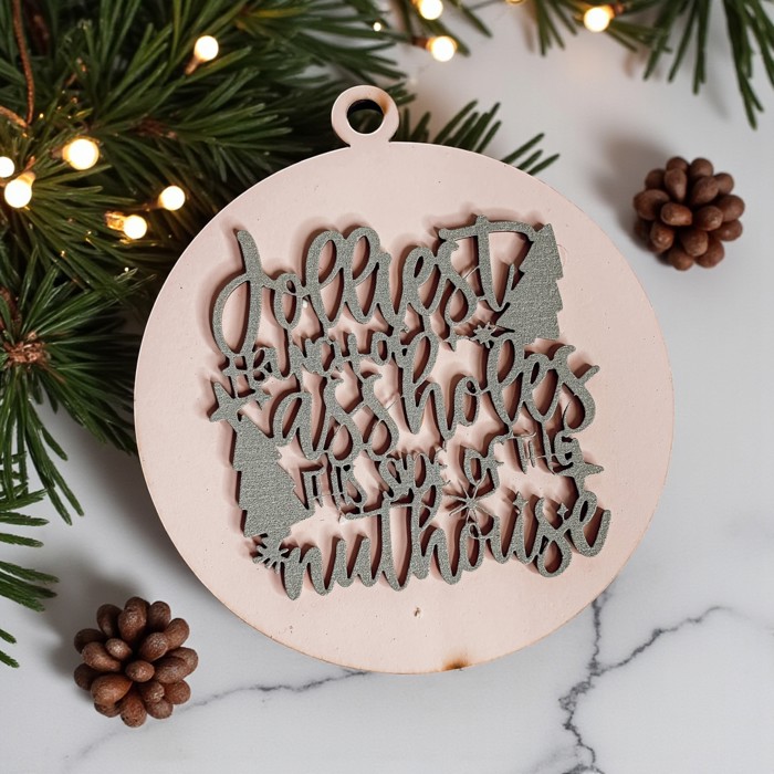 Funny Christmas Gifts for Cheap, Deck the Halls and Not Your Family, Holiday Humor, Funny Christmas Ornaments Handmade, Colorful Christmas Decorations
