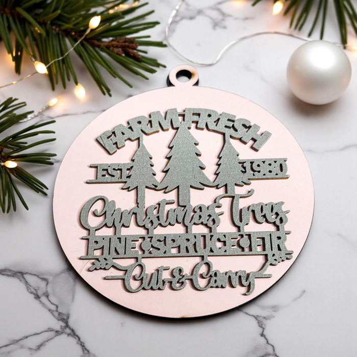 Funny Christmas Gifts for Cheap, Deck the Halls and Not Your Family, Holiday Humor, Funny Christmas Ornaments Handmade, Colorful Christmas Decorations