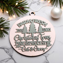  Funny Christmas Gifts for Cheap, Deck the Halls and Not Your Family, Holiday Humor, Funny Christmas Ornaments Handmade, Colorful Christmas Decorations
