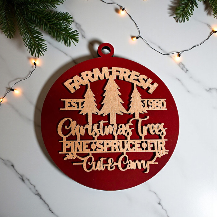 Funny Christmas Gifts for Cheap, Deck the Halls and Not Your Family, Holiday Humor, Funny Christmas Ornaments Handmade, Colorful Christmas Decorations