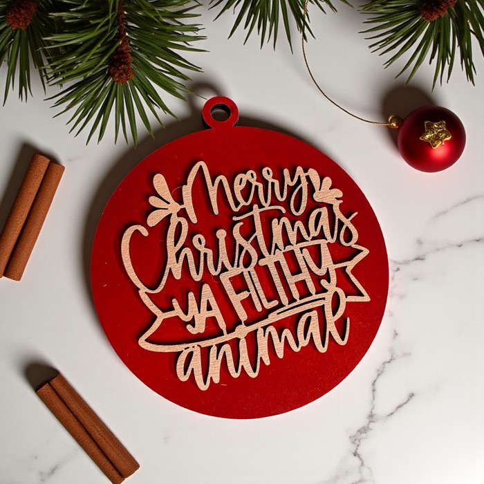 Funny Christmas Gifts for Cheap, Deck the Halls and Not Your Family, Holiday Humor, Funny Christmas Ornaments Handmade, Colorful Christmas Decorations