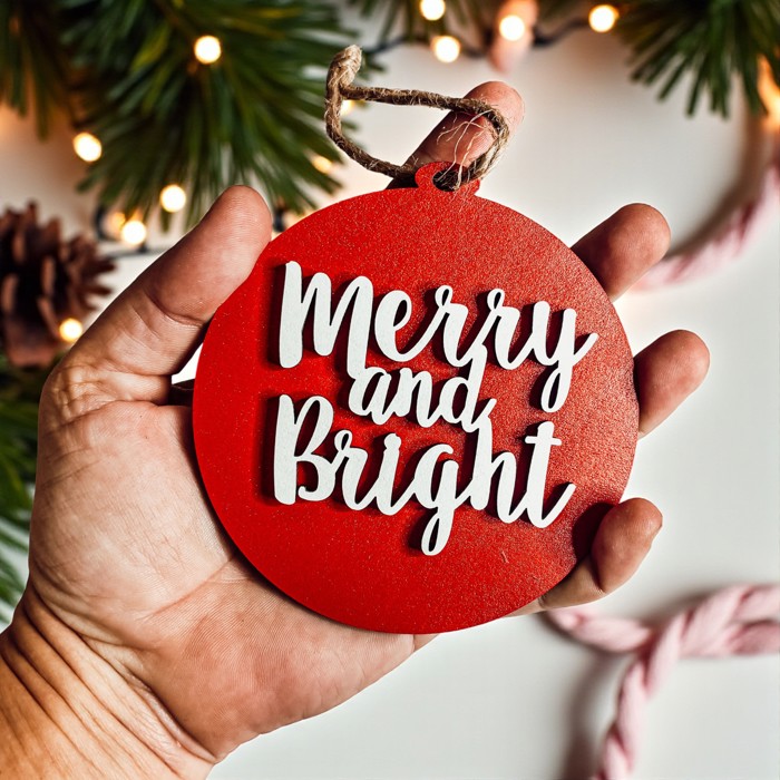 Funny Christmas Gifts for Cheap, Deck the Halls and Not Your Family, Holiday Humor, Funny Christmas Ornaments Handmade, Colorful Christmas Decorations