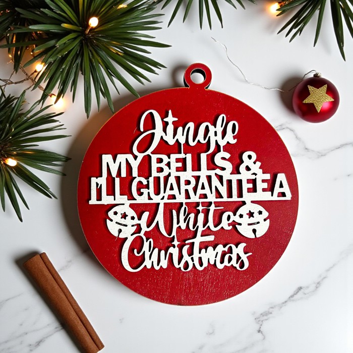 Funny Christmas Gifts for Cheap, Deck the Halls and Not Your Family, Holiday Humor, Funny Christmas Ornaments Handmade, Colorful Christmas Decorations