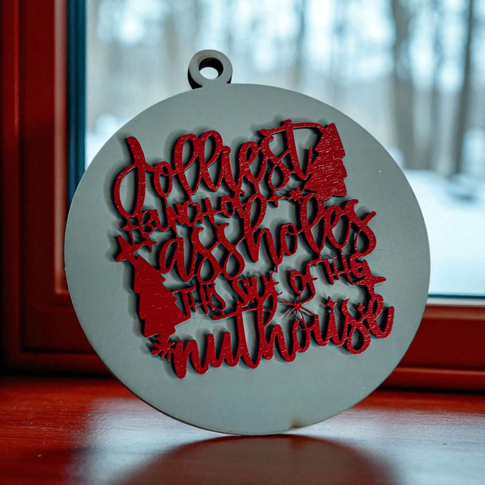 Funny Christmas Gifts for Cheap, Deck the Halls and Not Your Family, Holiday Humor, Funny Christmas Ornaments Handmade, Colorful Christmas Decorations