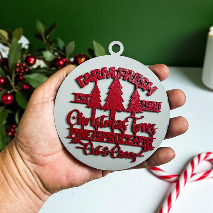 Funny Christmas Gifts for Cheap, Deck the Halls and Not Your Family, Holiday Humor, Funny Christmas Ornaments Handmade, Colorful Christmas Decorations