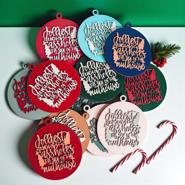 Funny Christmas Gifts for Cheap, Deck the Halls and Not Your Family, Holiday Humor, Funny Christmas Ornaments Handmade, Colorful Christmas Decorations