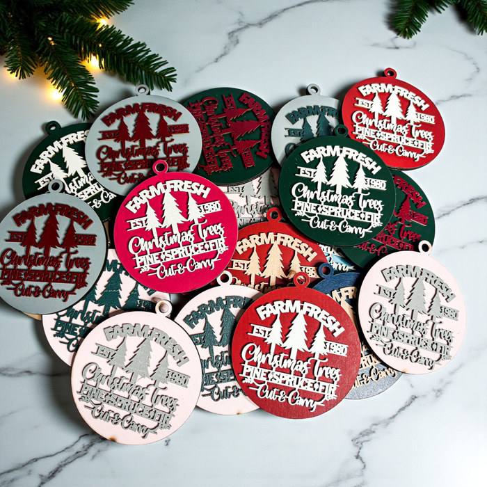 Funny Christmas Gifts for Cheap, Deck the Halls and Not Your Family, Holiday Humor, Funny Christmas Ornaments Handmade, Colorful Christmas Decorations