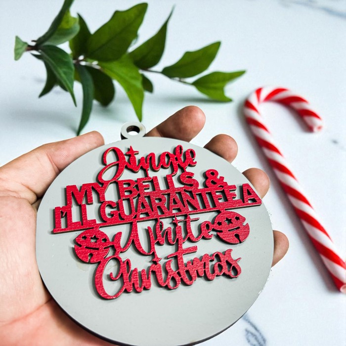 Funny Christmas Gifts for Cheap, Deck the Halls and Not Your Family, Holiday Humor, Funny Christmas Ornaments Handmade, Colorful Christmas Decorations